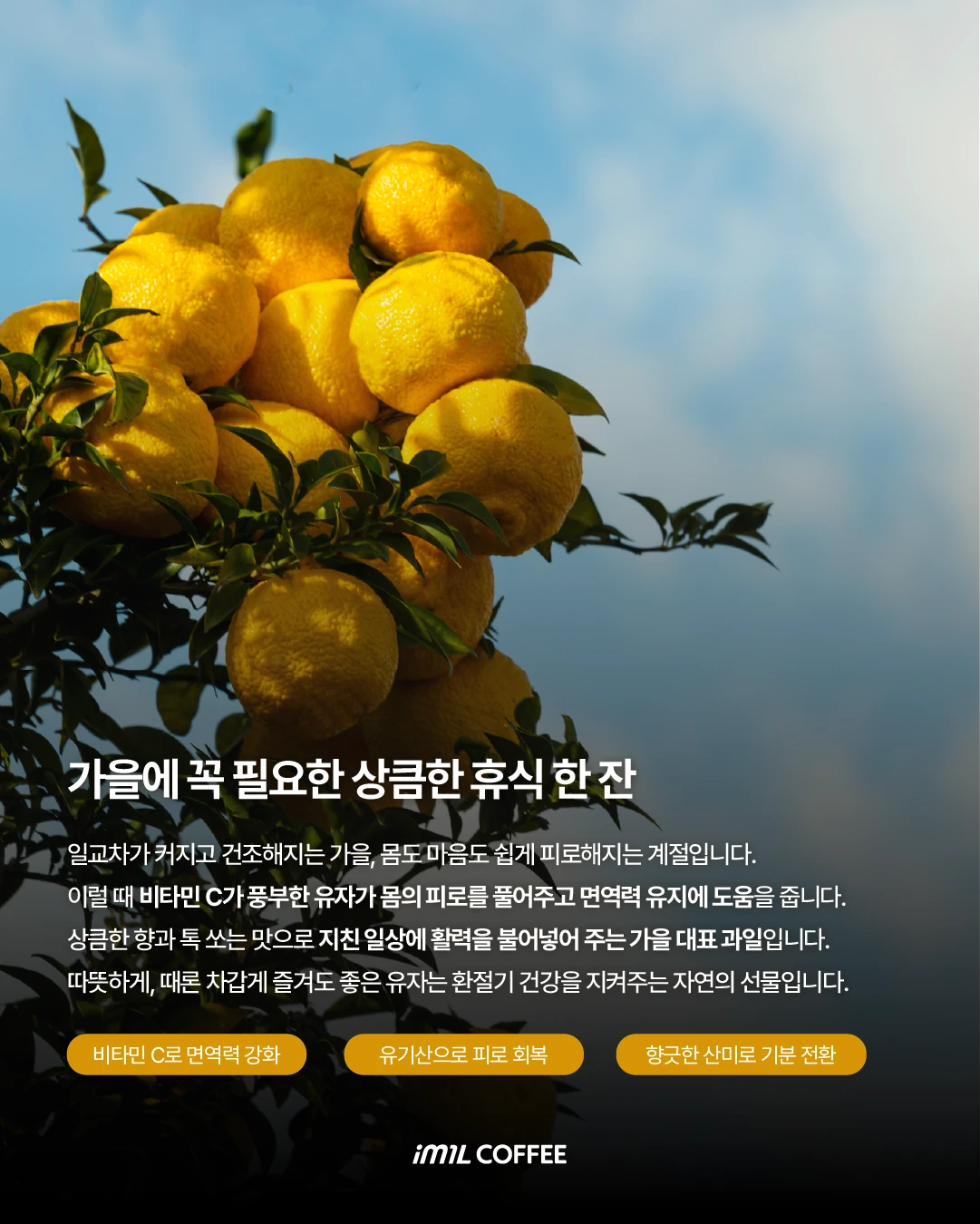 𝐄𝐀𝐓𝐂𝐑𝐈𝐏𝐓 | 유자식 뜨뜻한게 땡길 때 딱인데🥶 본문 이미지 2