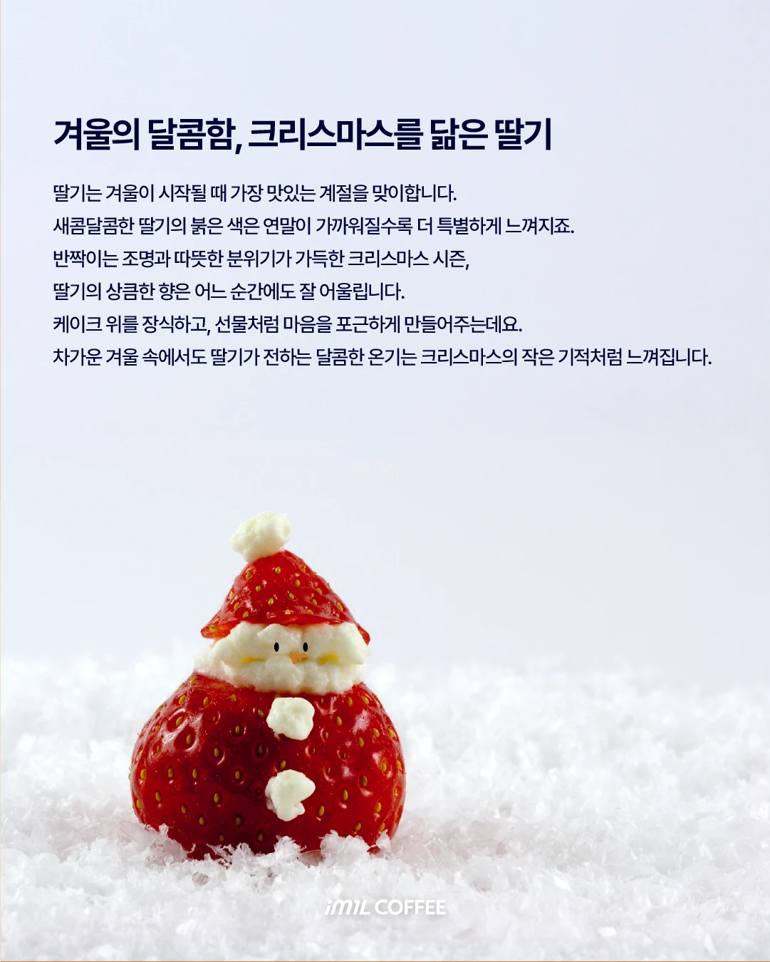 𝐄𝐀𝐓𝐂𝐑𝐈𝐏𝐓 | 딸기 맛이 나는 크리스마스 트리🎄🍓 본문 이미지 3